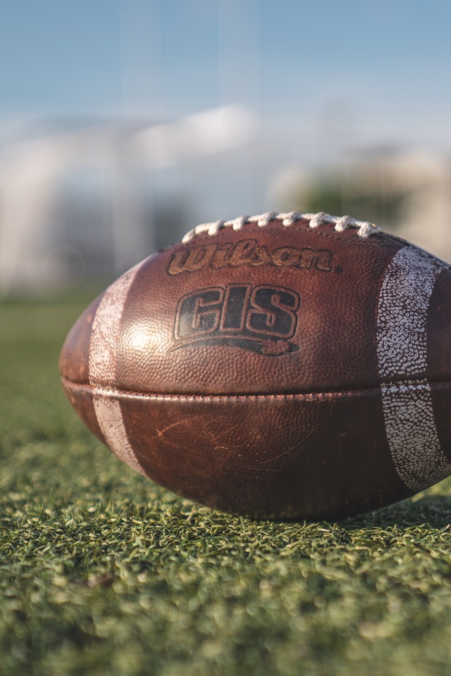 brown-wilson-pigskin